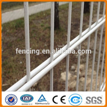 8/6/8 Decorative Powder/PVC Coated Welded Double Wire Fencing